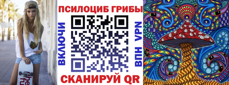 Псилоцибиновые грибы Psilocybe ОМГ ОМГ ТОР Бокситогорск